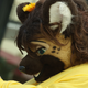 Image for article titled Hackers Hit Adult Furry Website, Exposing Hundreds of Thousands of Users